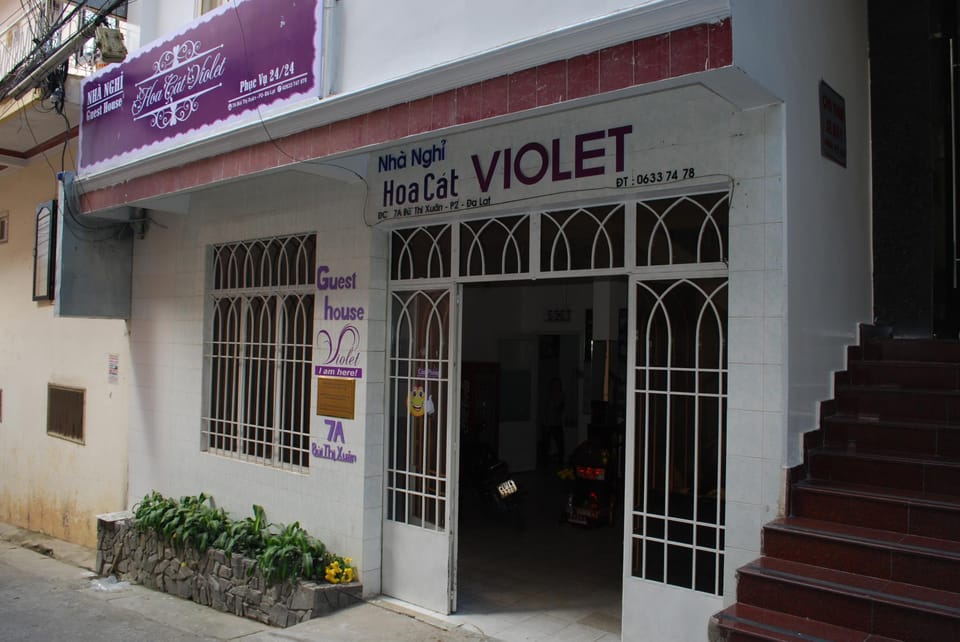 Hoa Cat Violet Hostel in Dalat