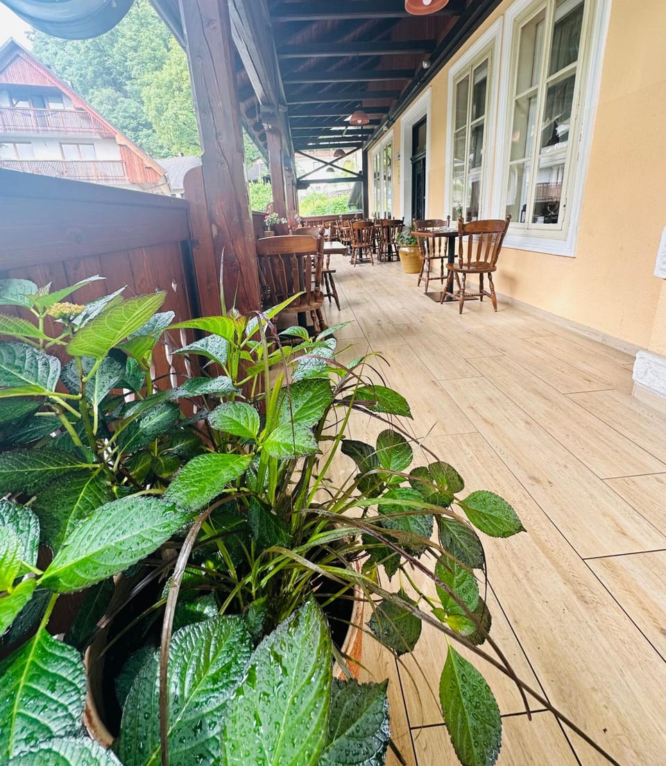 Rooms Murka Hotel in Bled