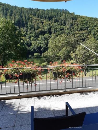 Haus-Moselliebe-Charmantes-Fruehstuecks-Zimmer-mit-Balkon-und-Blick-auf-die-Mosel-Raucherfreihaus Hotel in Ediger-Eller