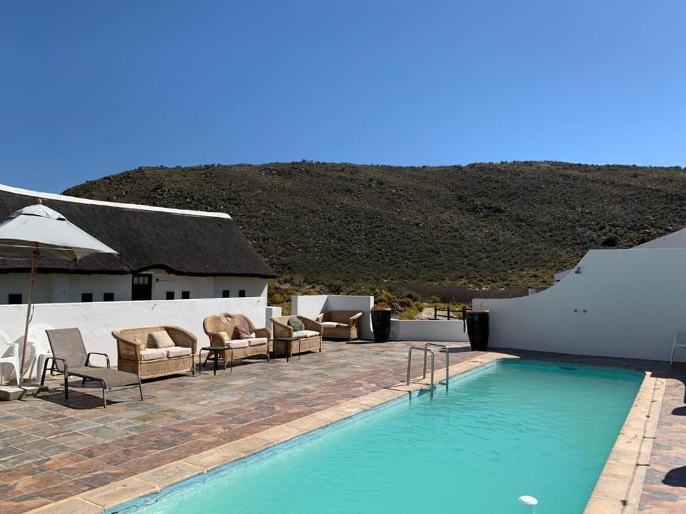 Swimming pool [outdoor]