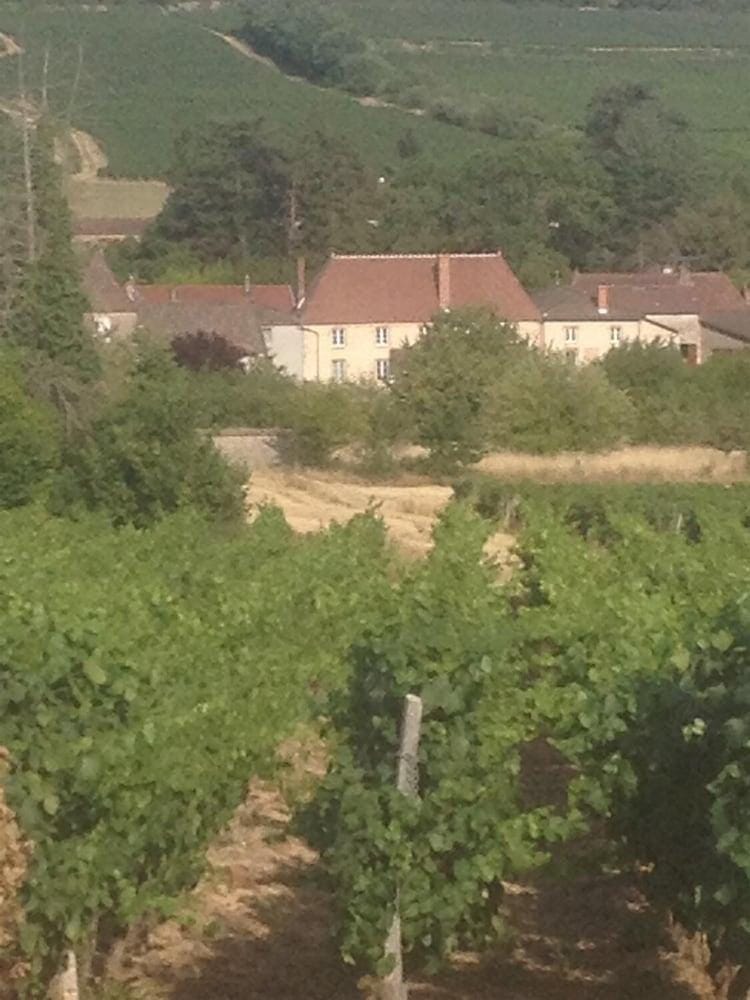 Le Logis d'Azé Hotel in Bourgogne-Franche-Comté