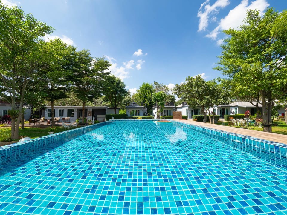 Swimming pool [outdoor]
