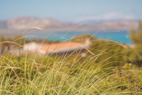 Ancoramare view Hotel in Stintino