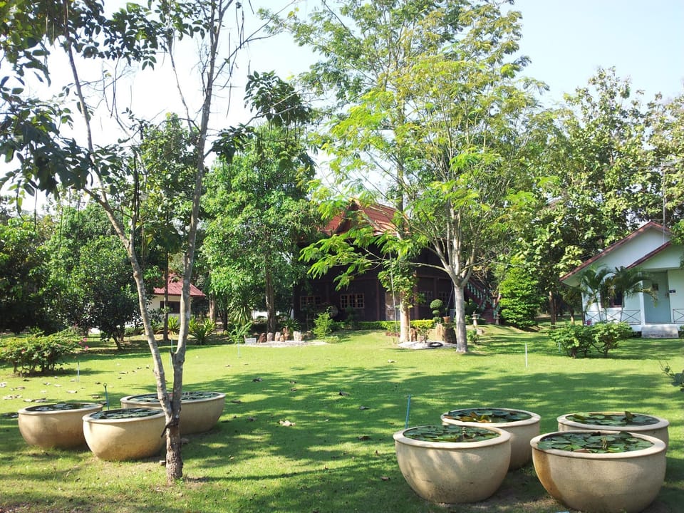 Surrounding environment