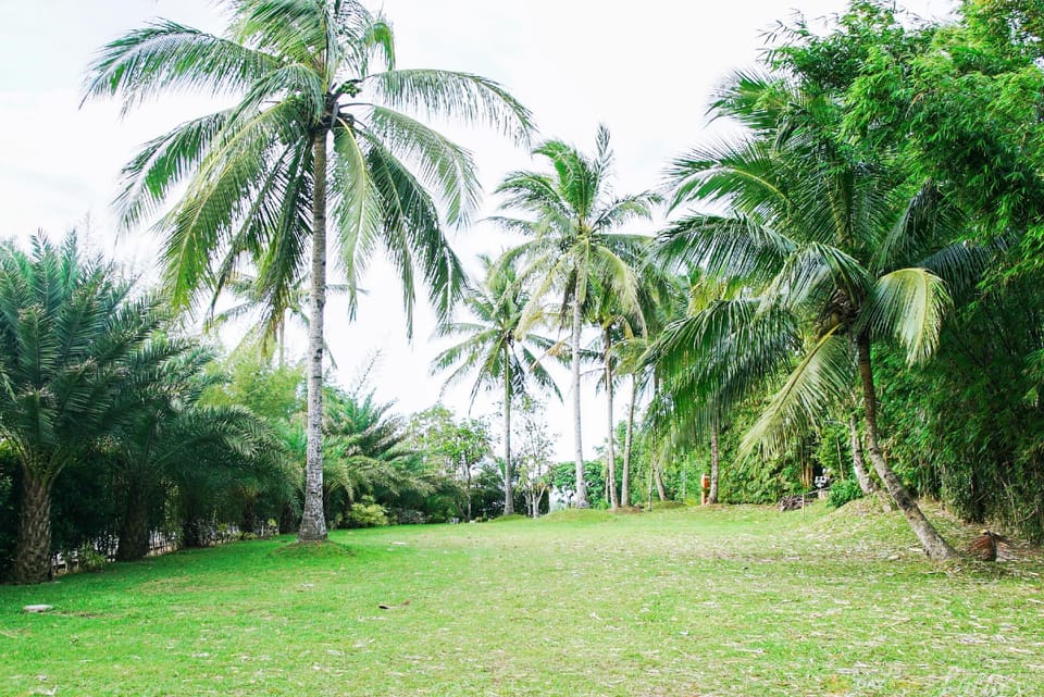 Lucia’s Bed and Breakfast Resort Resort in Calabarzon