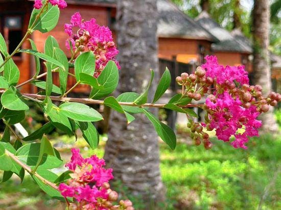 OPINE.VILLAS Hotel in Sabah