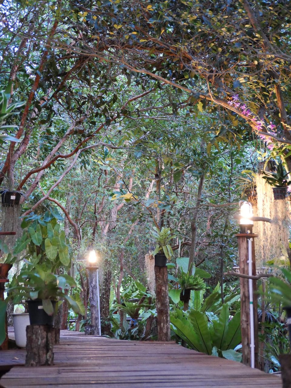 Ban Suan Kaew Kamphaeng Resort in Thailand