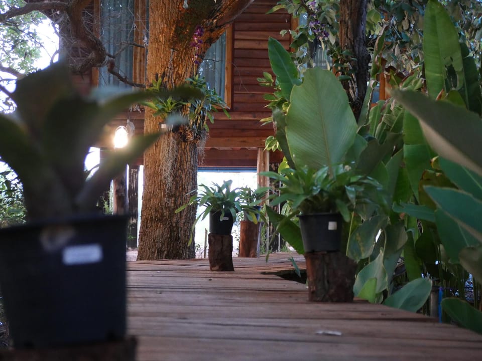 Ban Suan Kaew Kamphaeng Resort in Thailand