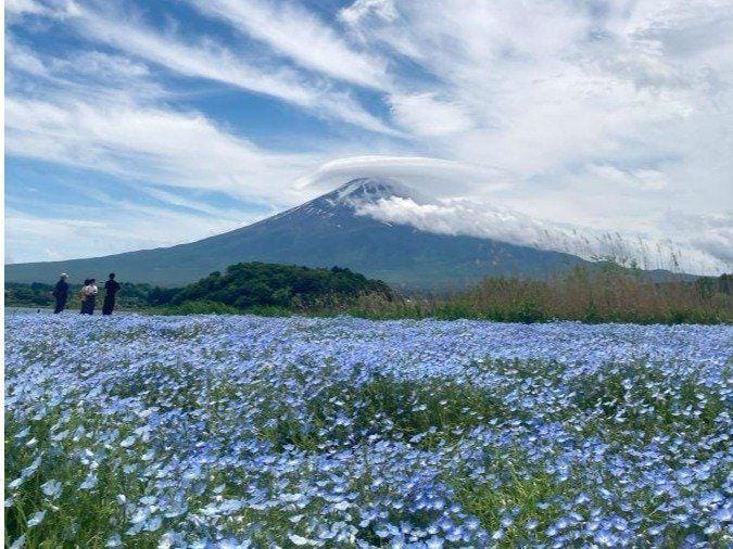 Pension Ami Hotel in Shizuoka Prefecture