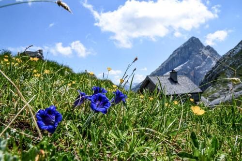 Haus BergGesundZeit Doppelzimmer Watzmannhaus Hotel in Schönau am Königssee