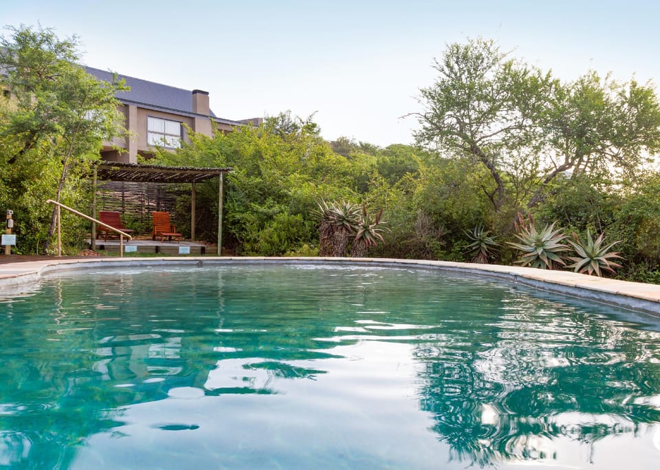 Swimming pool [outdoor]