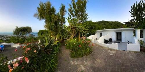 barracudasuite Hotel in Ischia