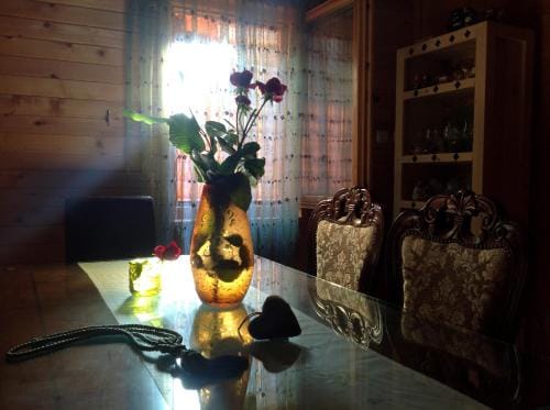 Lodge House Tara Lodge in Montenegro