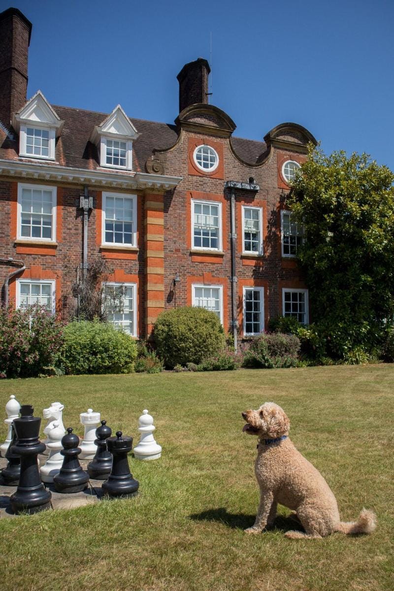 Barnett Hill - Luxury Hotel Hotel in Borough of Waverley