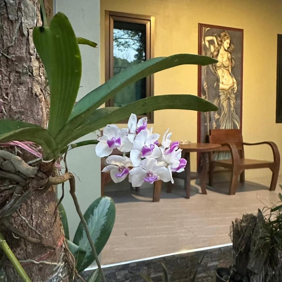Big House Resort Resort in Trat Changwat