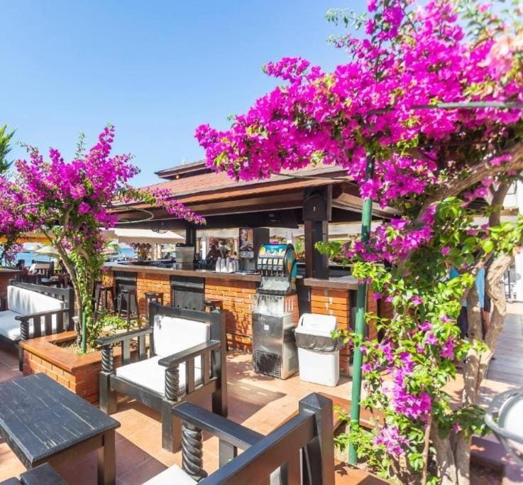 Bodrum Seaside Beach Club Hotel in Muğla Province