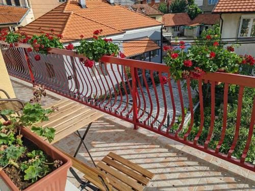 City Park Rooms Hotel in Serbia