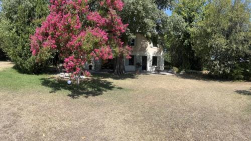 Alpilles Camargue Mas Falabrego Hotel in Arles