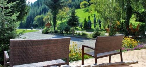 Gasthaus Zum Wilden Mann Inn in Ortenau
