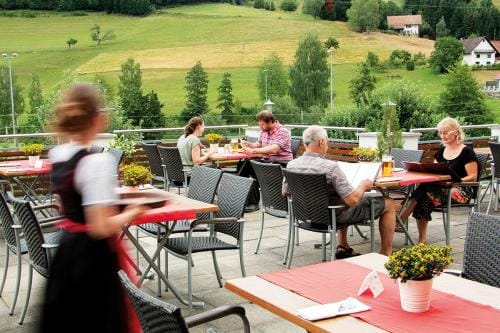 Gasthaus Zum Wilden Mann Inn in Ortenau