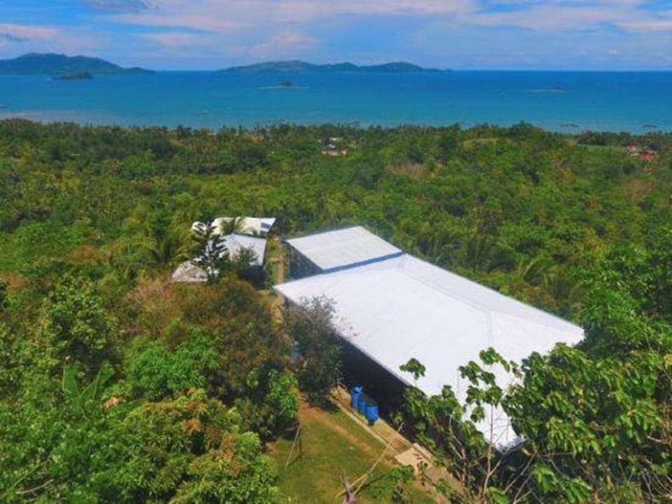 Windy Willow's Hotel in Central Visayas