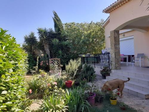 Villa Sans souci et agreable Hotel in La Seyne-sur-Mer