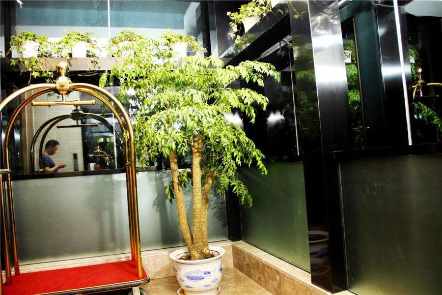 Ai Jia Hotel Hotel in Nanjing