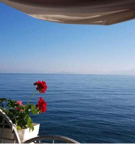 Hotel Justinian Hotel in North Macedonia