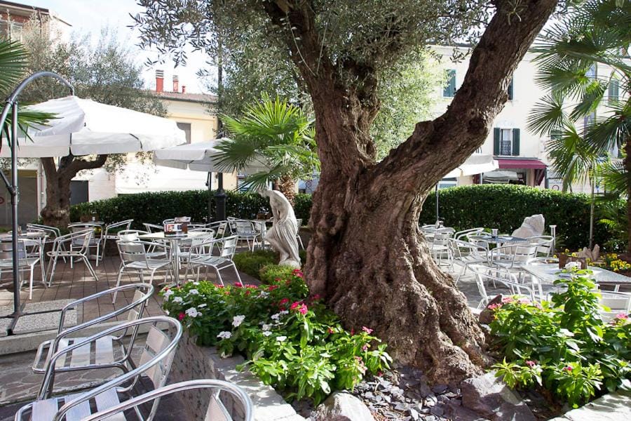 Zara Rooms & Suites Hotel in Veneto