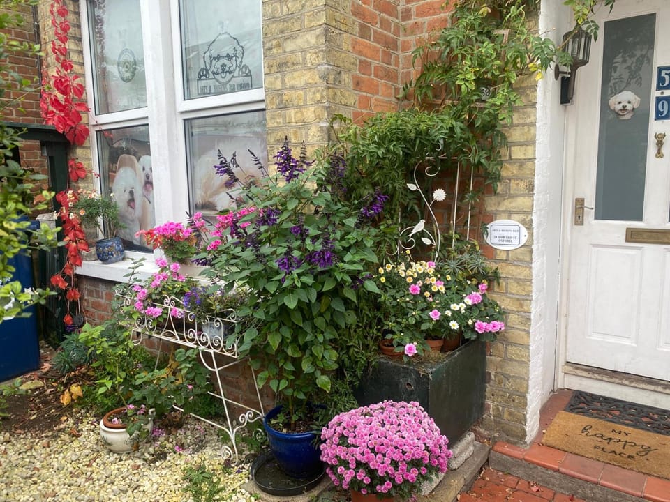 Arts&BichonsB&B Hotel in Oxford