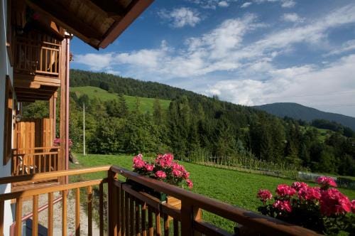 B&B Affittacamere Larix Hotel in Trentino-South Tyrol