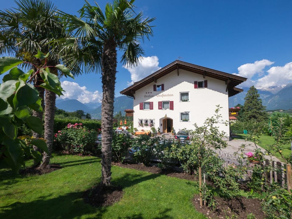 Guesthouse Pension Grafenstein Hotel in Merano