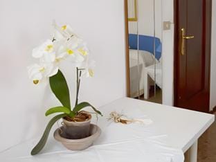 Da Virginia B&B Hotel in Verona