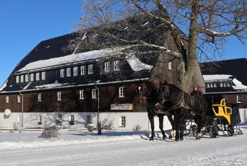 Waldgasthof Bad Einsiedel Hotel in Erzgebirgskreis