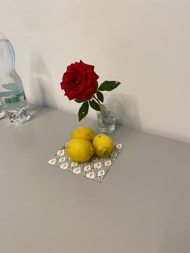 Villa Palladino Rooms Hotel in Bari