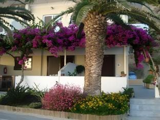 Skinos Apartments Hotel in Crete