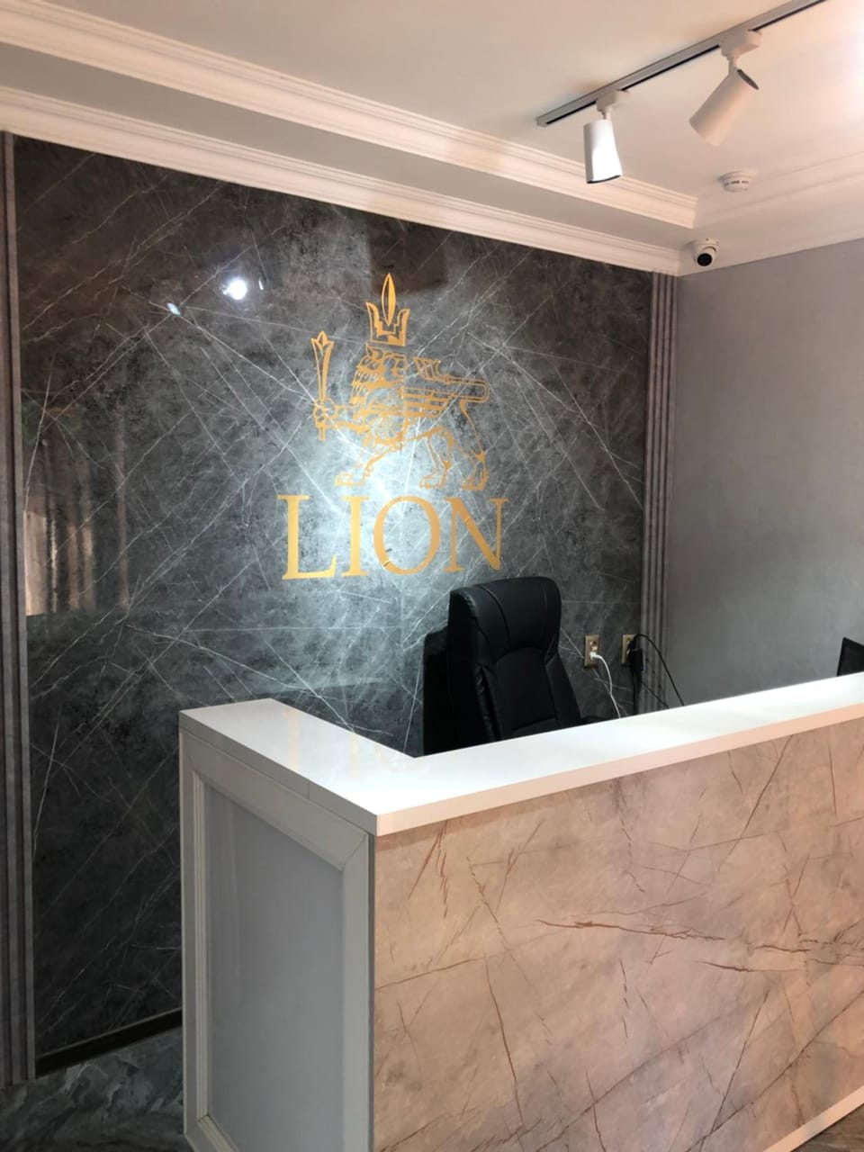 Hotel LION Almaty Hotel in Almaty