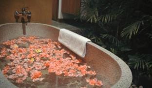 Gopala Luxury Villa Hotel in Abiansemal