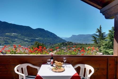 Hotel Appartement Inge Hotel in Tirol