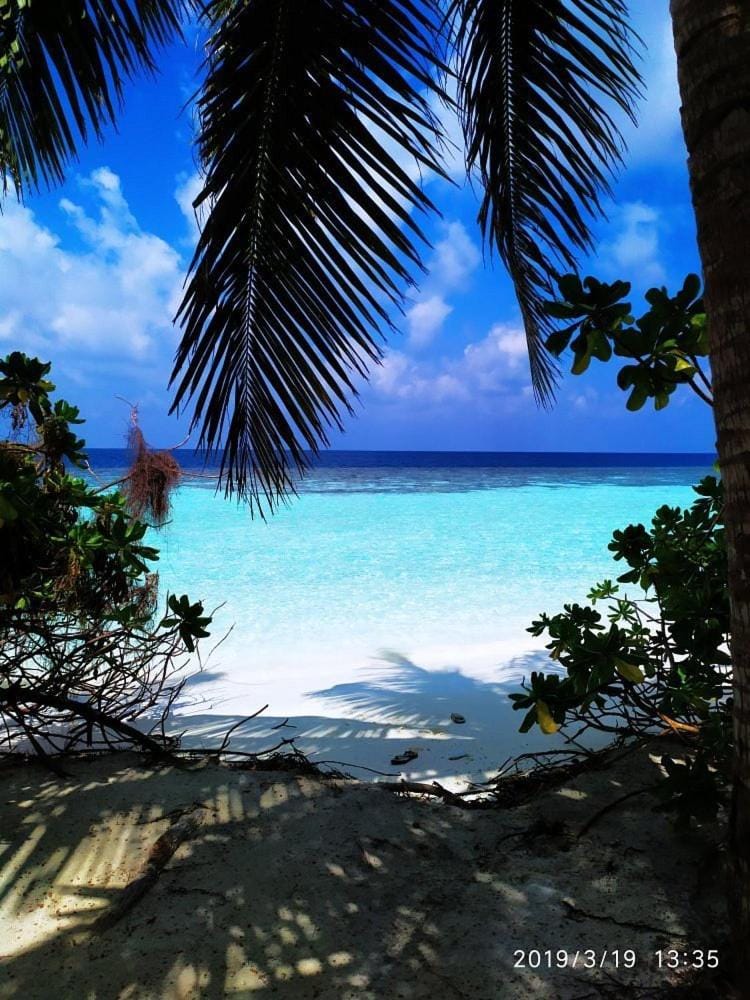 South Ari Inn Inn in Maldives