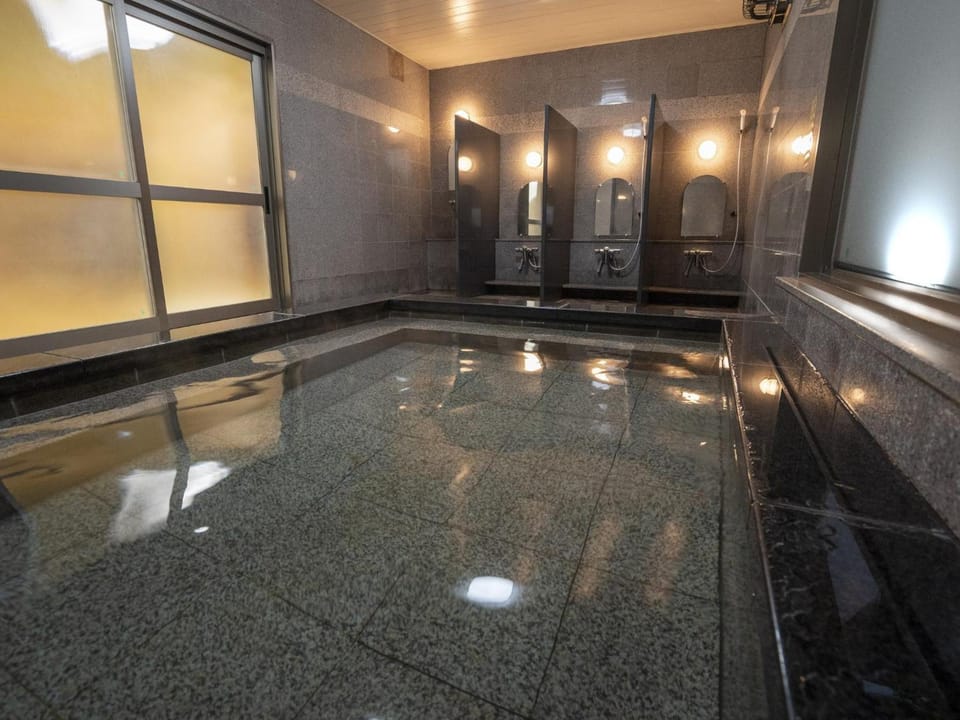Hotel New Gaea Iizuka Hotel in Fukuoka Prefecture