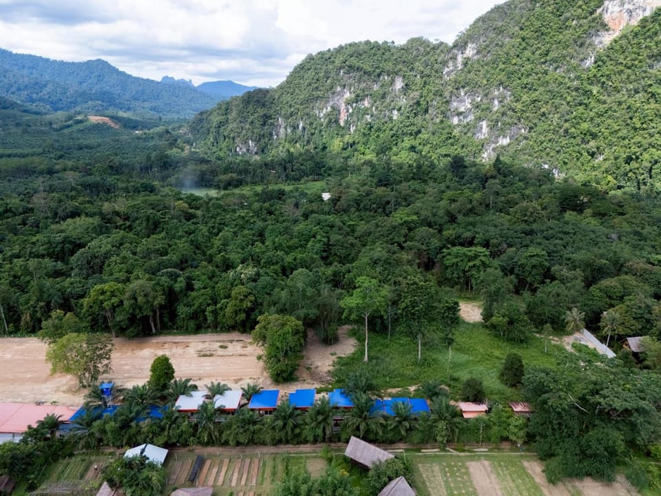 Khaosok Bamboo Huts Resort Resort in Khlong Sok