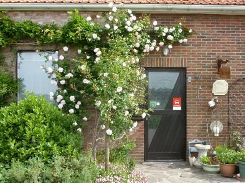 Guesthouse Kolibriehuys Hotel in Flanders