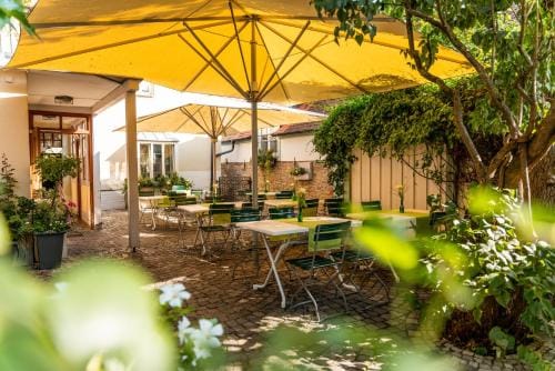 Gasthaus & Weingut zum Stern Inn in Hesse