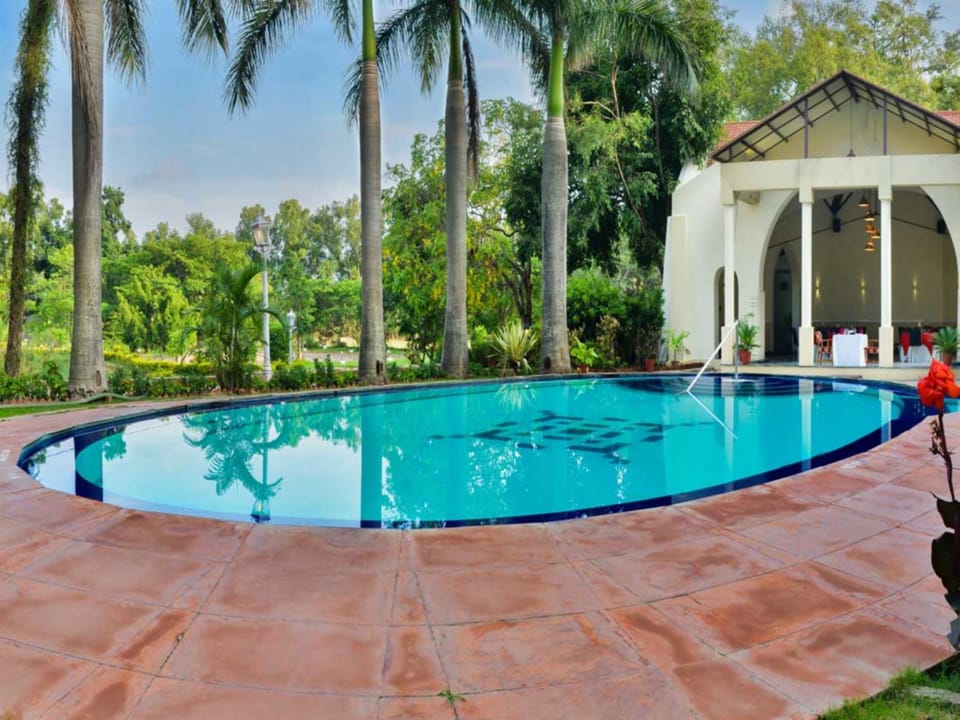 Swimming pool [outdoor]