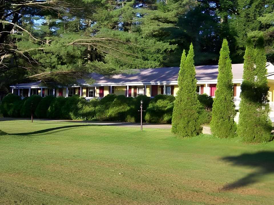 Surrounding environment