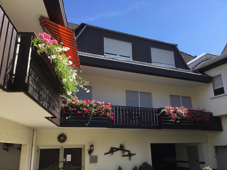 Hotel Zum Adler Hotel in Hesse