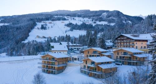 Panorama Lodge Premium Apartments Hotel in Schladming