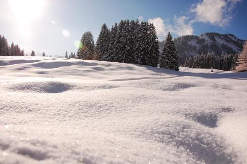 Herzen´s Landhaus Hotel in Oberstdorf