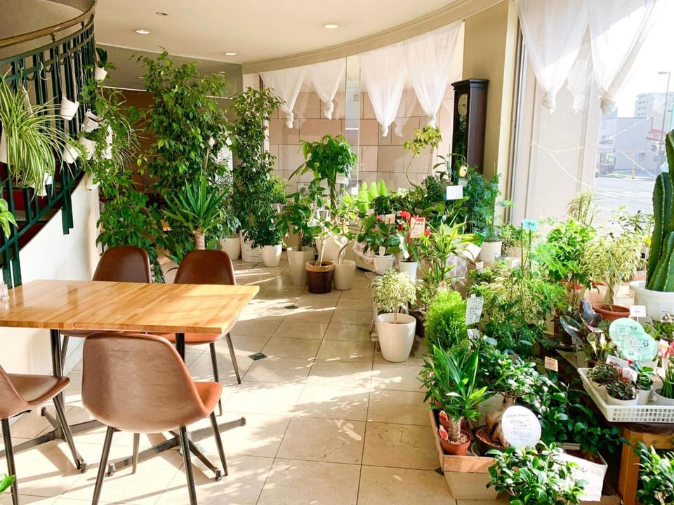 Hotel Royal Kitami - Vacation STAY 06513v Hotel in Hokkaido Prefecture
